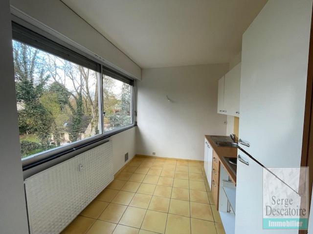 Image Caption