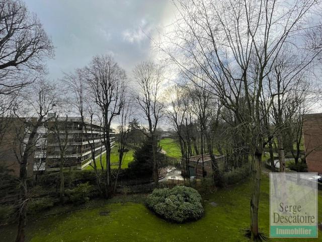 Image Caption