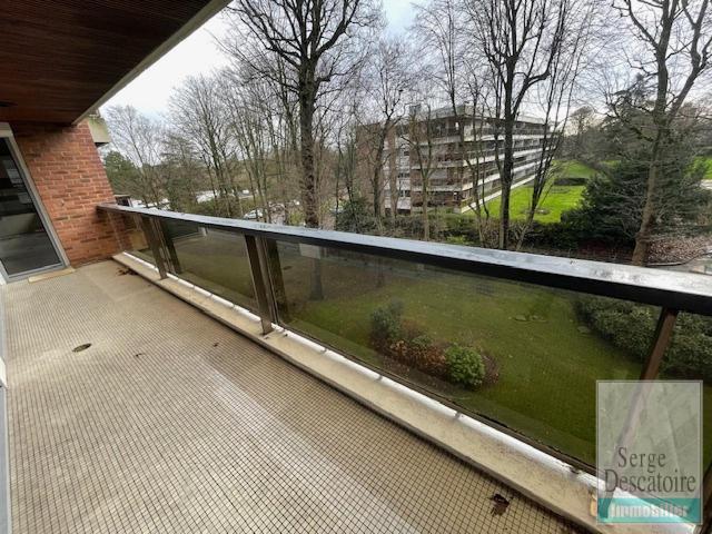 Image Caption